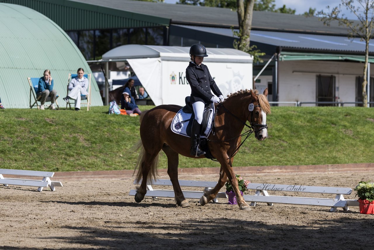 Bild 38 - Pony Akademie Turnier